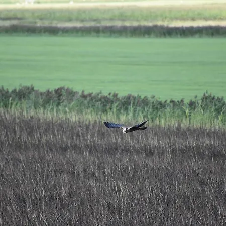 Annas-huus Apartament *